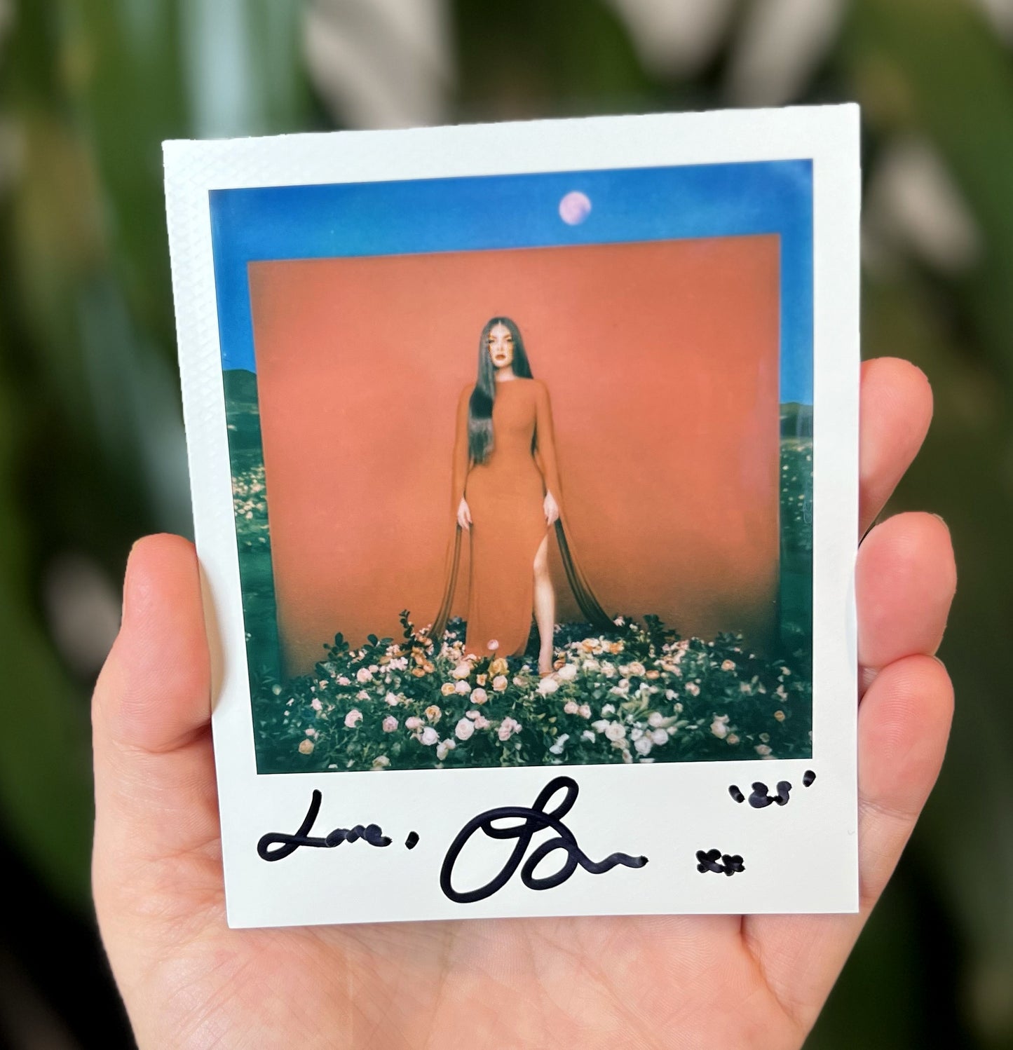 Pain and Paradise Signed Polaroid