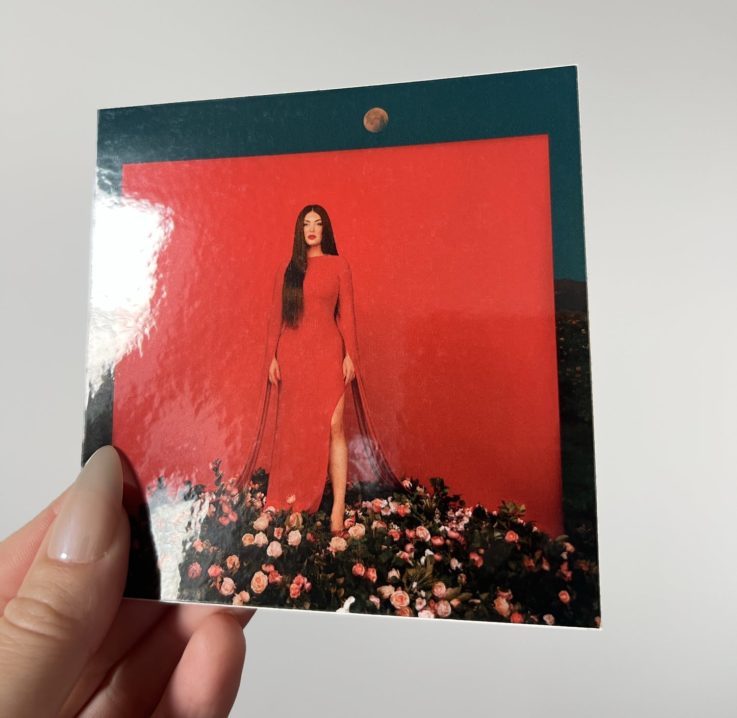 Pain and Paradise Sticker