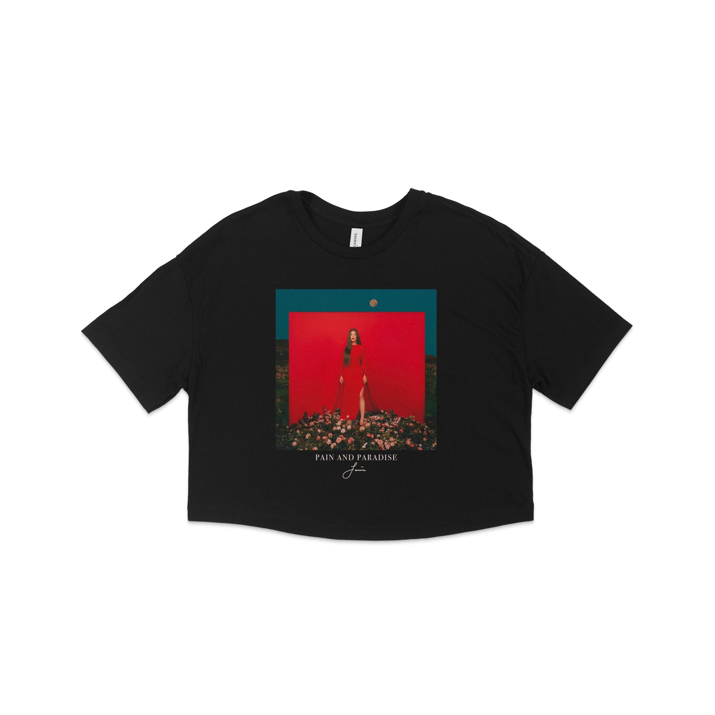 Pain and Paradise Crop Tee